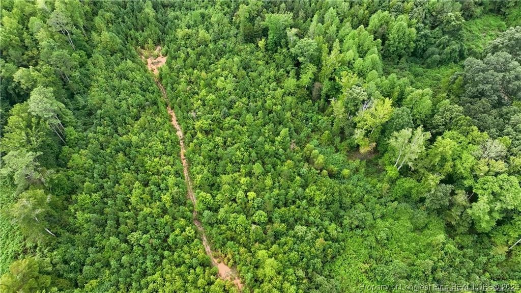 0 Warren Road Carthage, NC 28327 - Photo 7 of 9 a view of a lush green forest