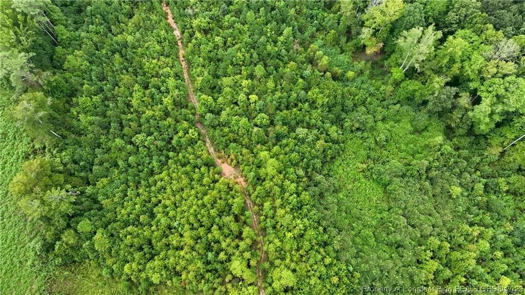 0 Warren Road Carthage, NC 28327 - Photo 8 of 9 a view of a lush green forest