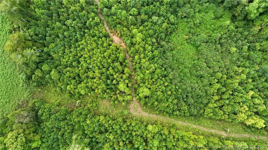 0 Warren Road Carthage, NC 28327 - Photo 9 of 9 a view of a lush green forest