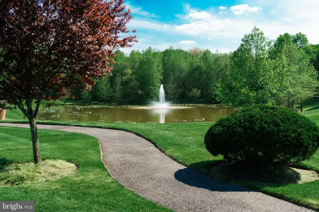 a view of a lake from a yard