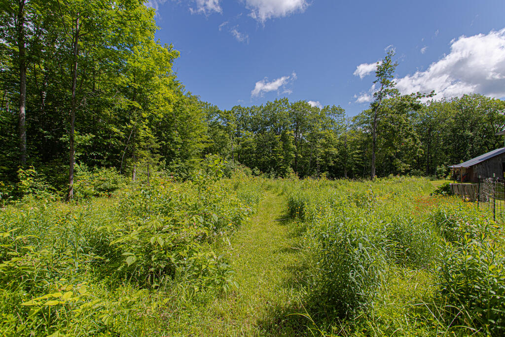 157 Emery Road Starks, ME 04911 - Photo 53 of 59 photo (17 of 63)