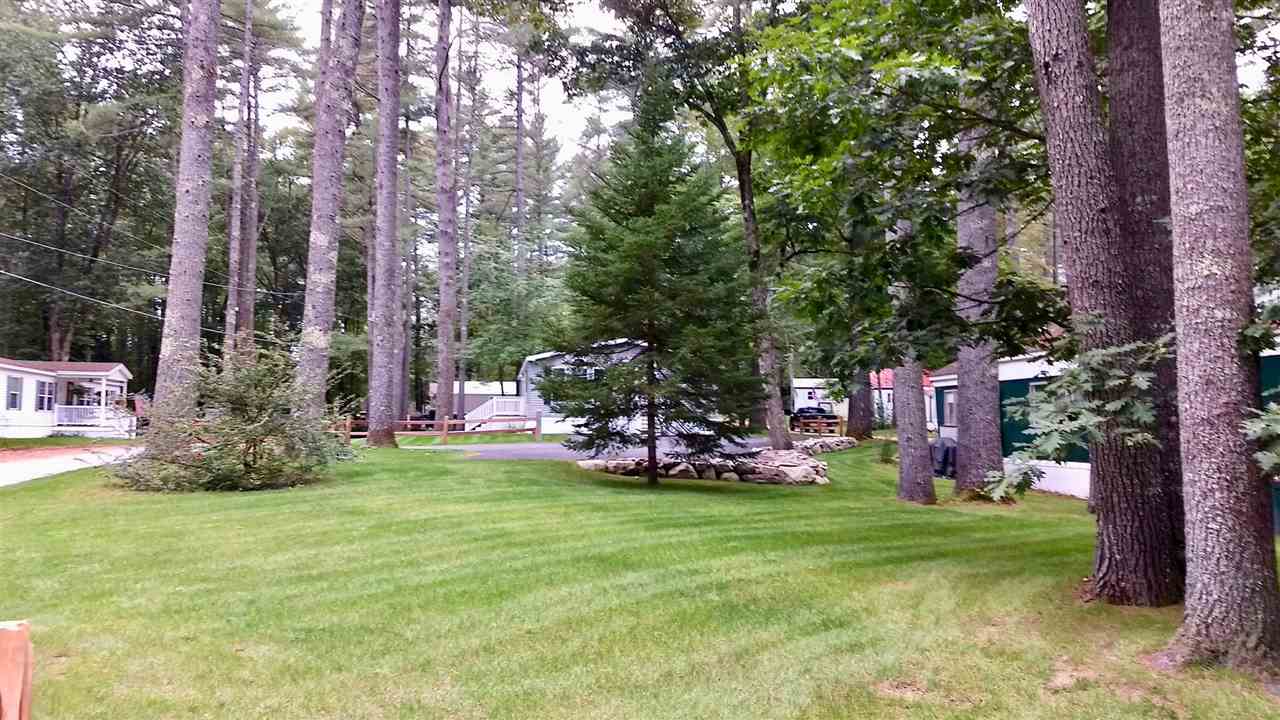 204 Heron Point Road Alton, NH 03809 - Photo 30 of 40
