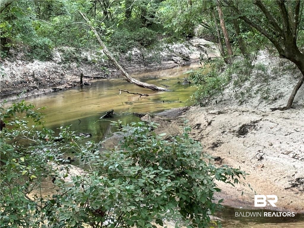 0 Circle R Farm Drive Florala, AL 36442 - Photo 20 of 25