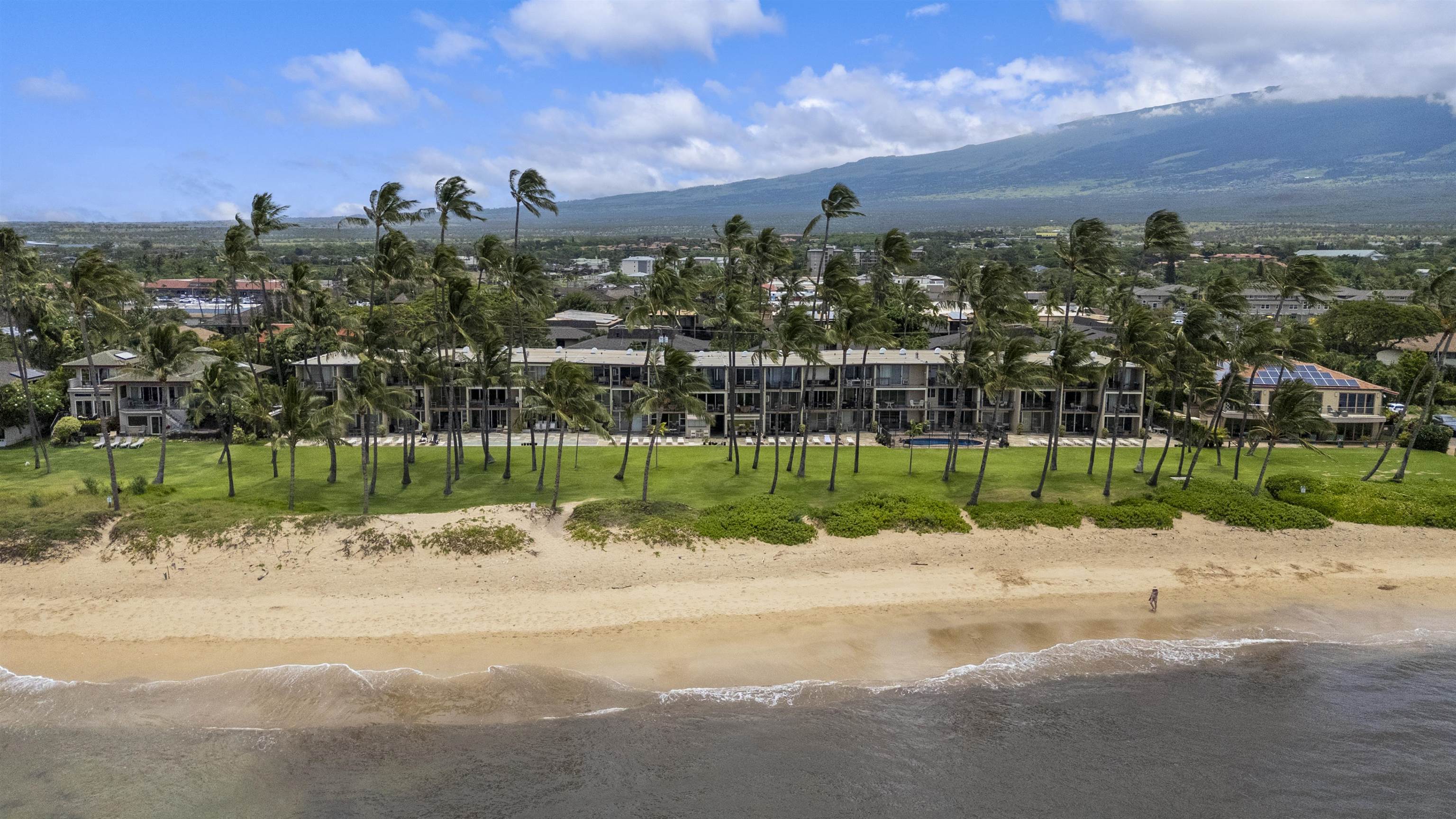 1310 Uluniu Road, Unit 202 Kihei, HI 96753 - Photo 34 of 39