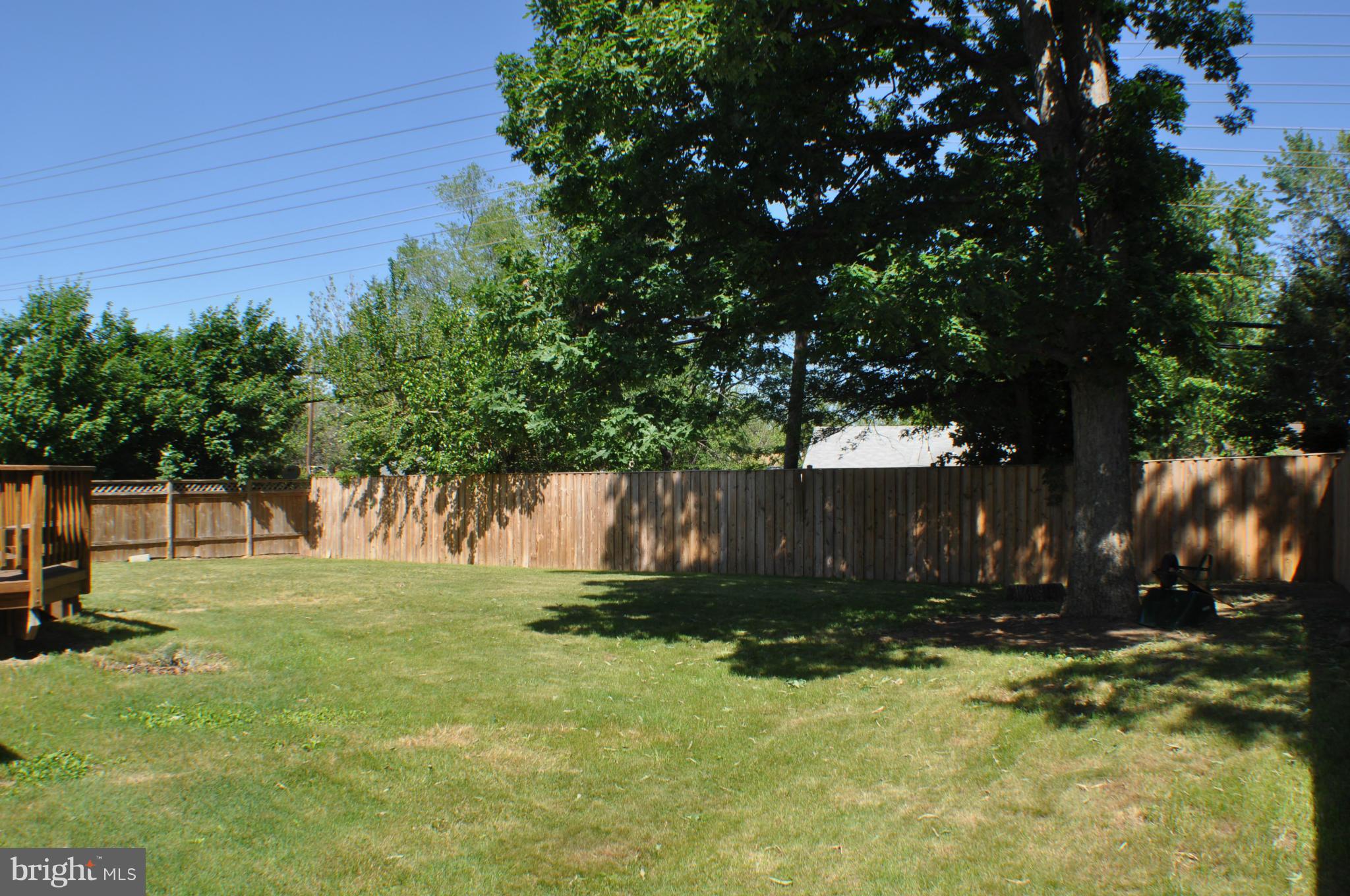 5903 Amherst Avenue Springfield, VA 22150 - Photo 27 of 30 Exterior (Rear)