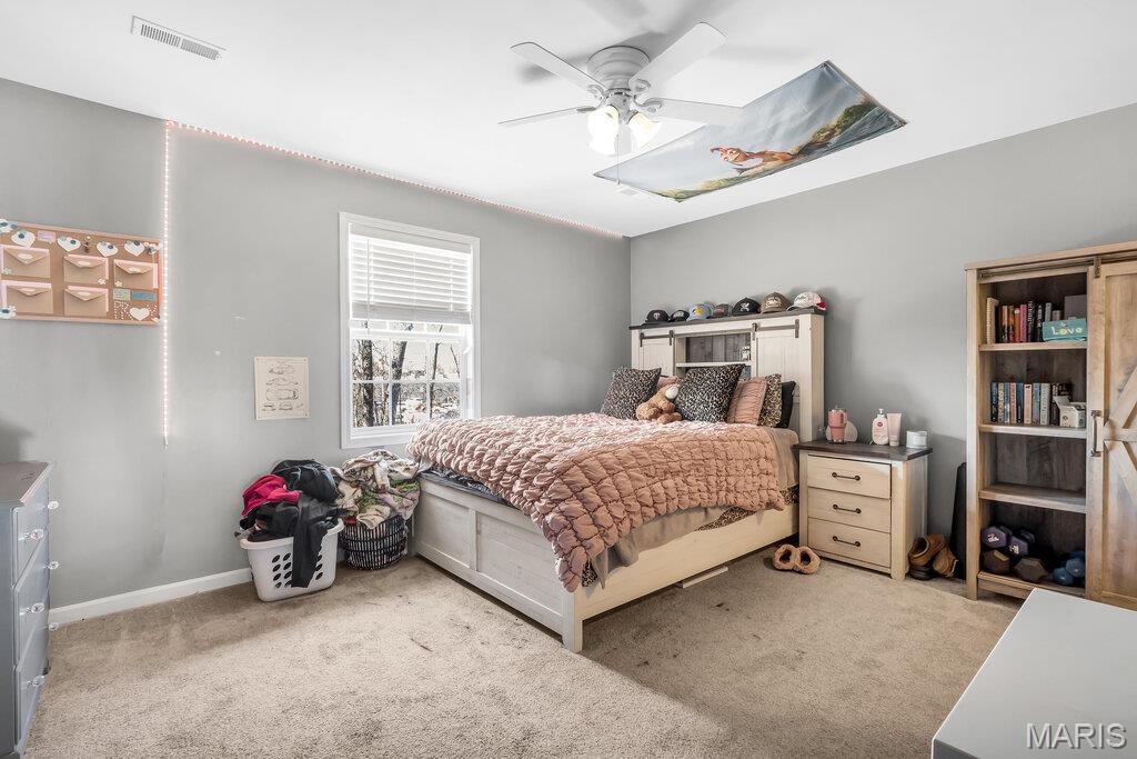 35 Meadow Rue Drive Edwardsville, IL 62025 - Photo 31 of 62