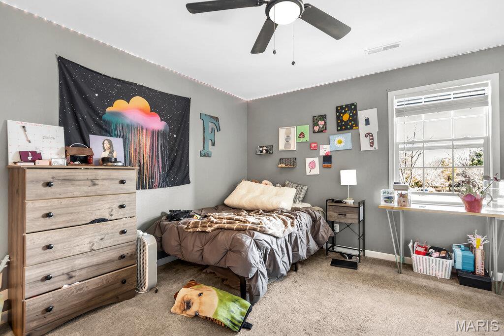 35 Meadow Rue Drive Edwardsville, IL 62025 - Photo 35 of 62