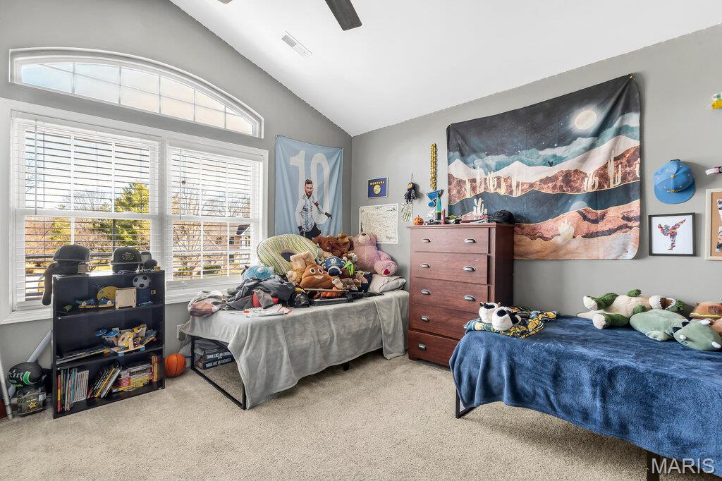 35 Meadow Rue Drive Edwardsville, IL 62025 - Photo 37 of 62