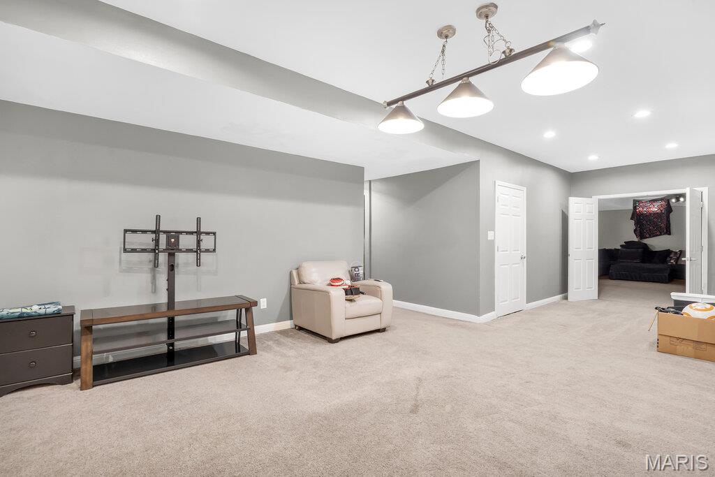 35 Meadow Rue Drive Edwardsville, IL 62025 - Photo 46 of 62