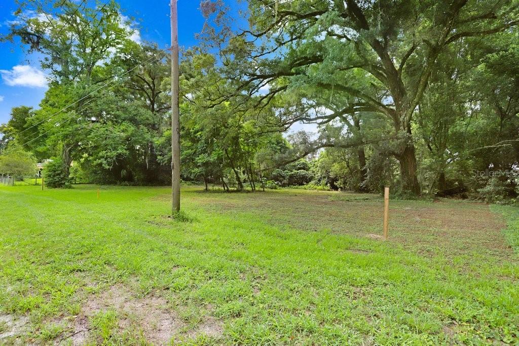 37352 Trilby Road Dade City, FL 33523 - Photo 11 of 17