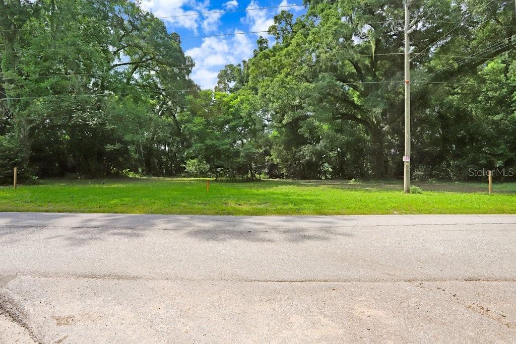 37352 Trilby Road Dade City, FL 33523 - Photo 12 of 17