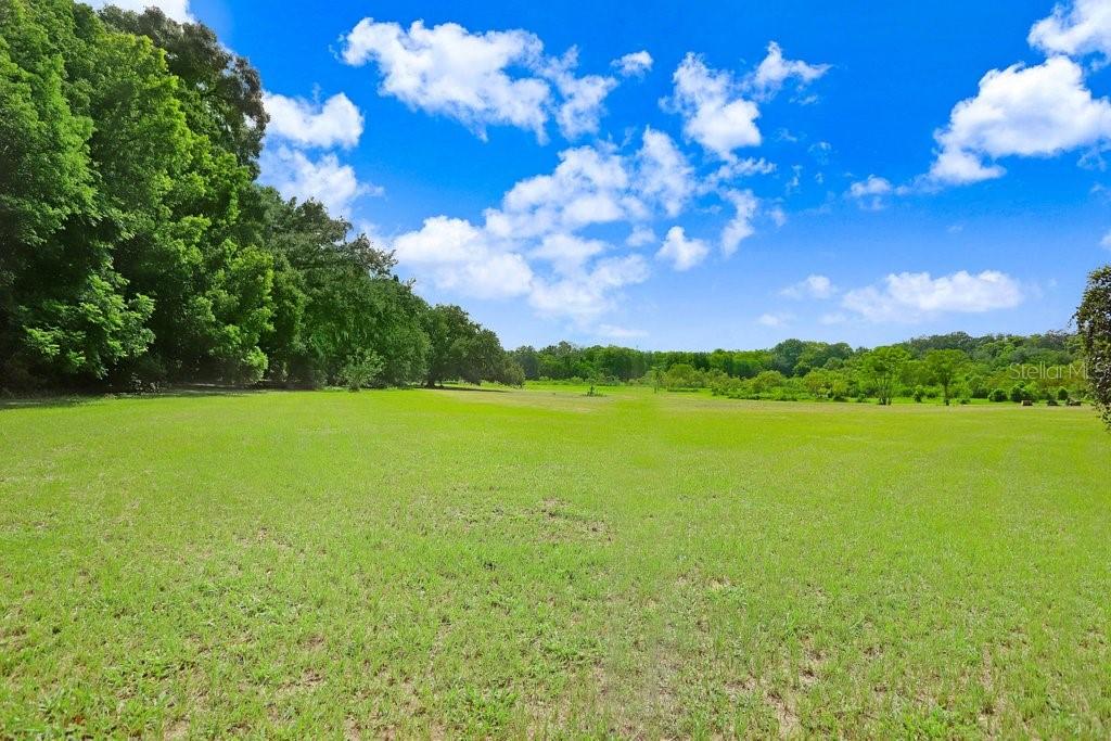 37352 Trilby Road Dade City, FL 33523 - Photo 3 of 17