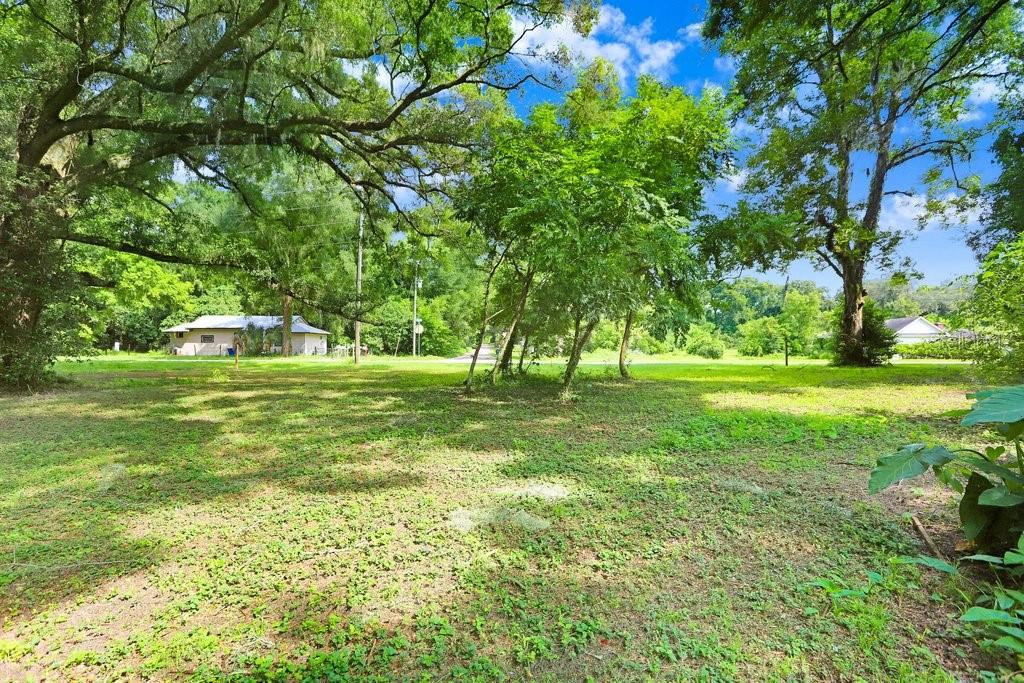 37352 Trilby Road Dade City, FL 33523 - Photo 8 of 17