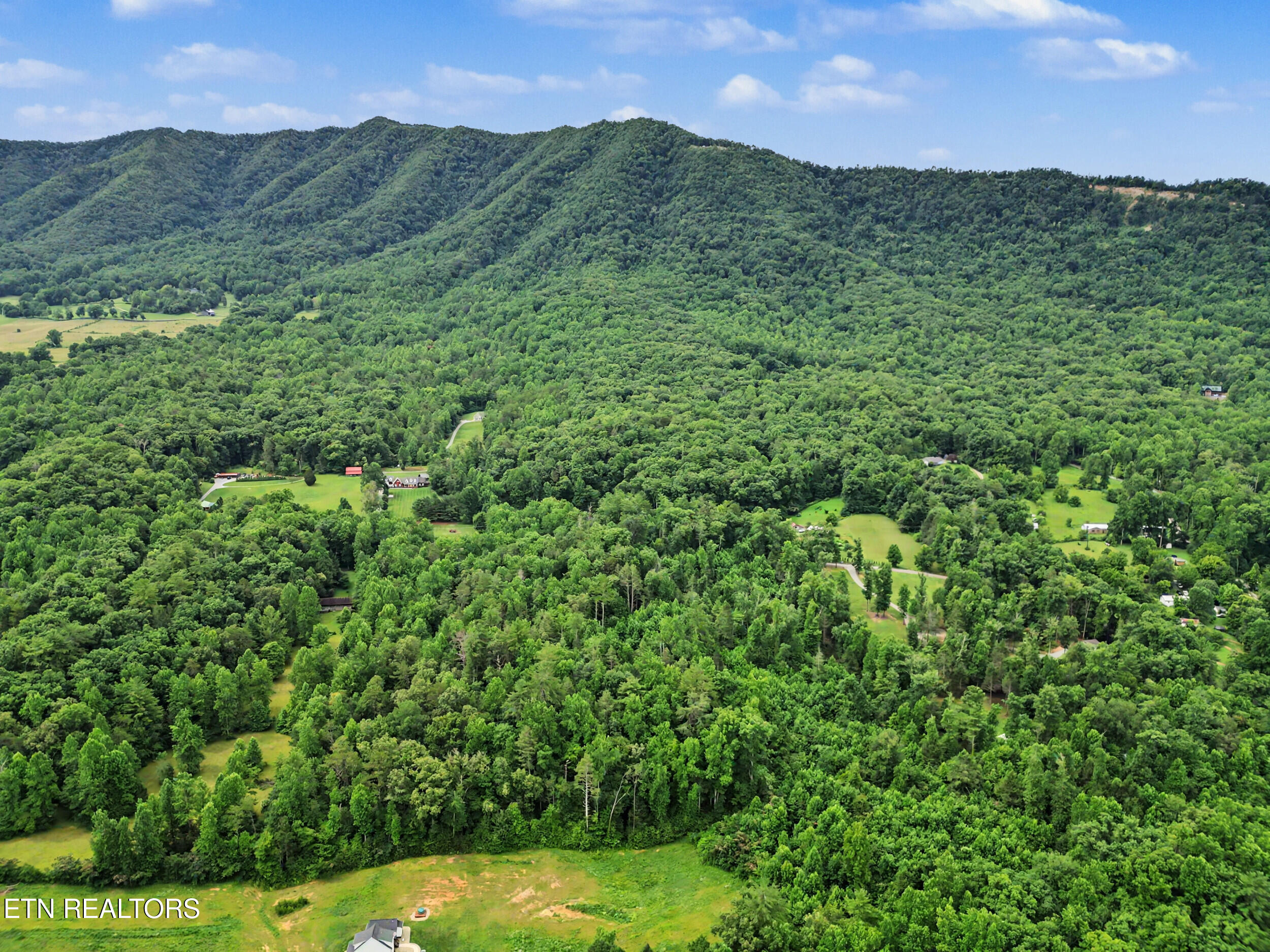 1006 Dry Valley Road Townsend, TN 37882 - Photo 47 of 54 46_dji_0070