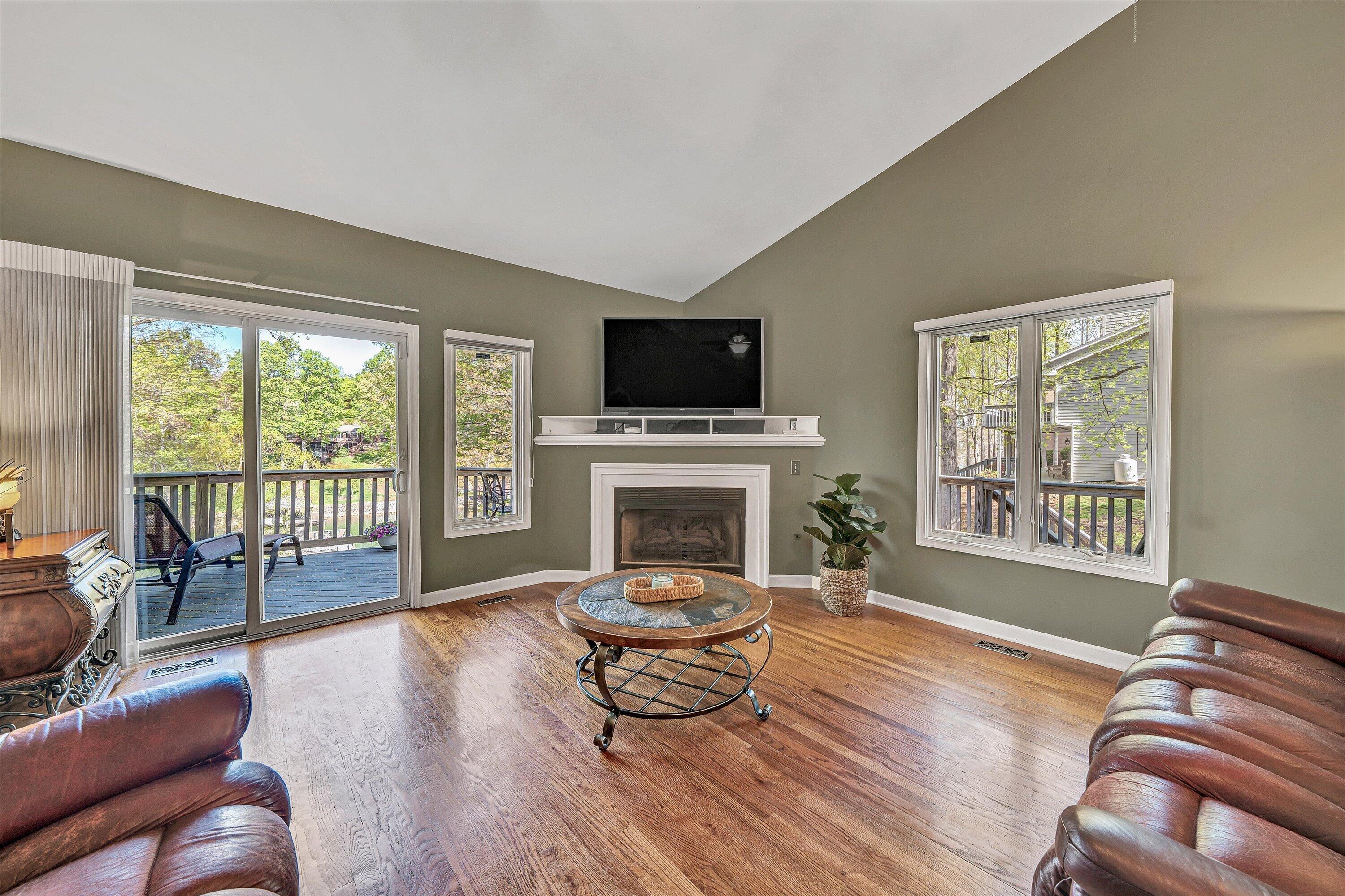 145 Channelview Drive Moneta, VA 24121 - Photo 34 of 62 a living room with furniture fireplace and flat screen tv