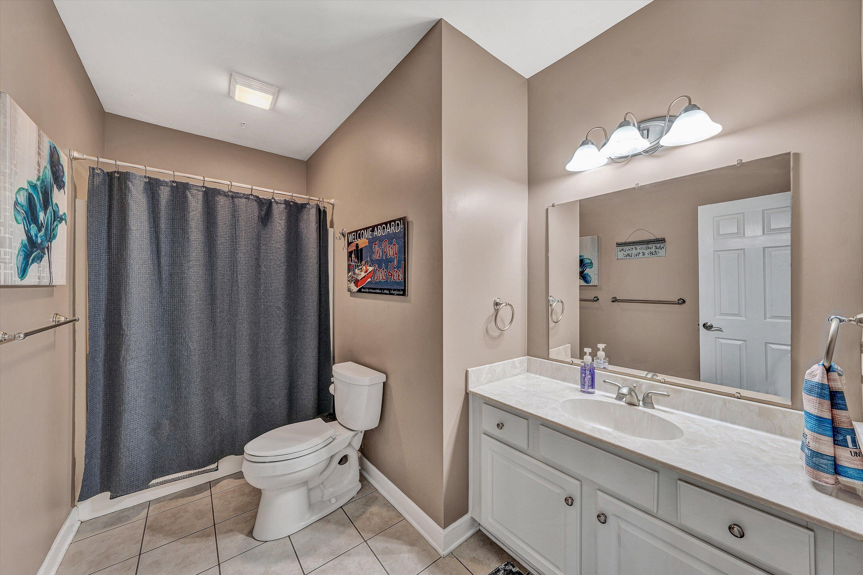145 Channelview Drive Moneta, VA 24121 - Photo 53 of 62 a bathroom with a toilet a sink and mirror