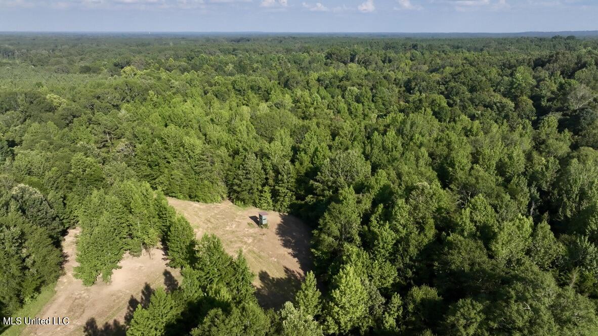 1 Moore Road Edwards, MS 39066 - Photo 1 of 43 drone