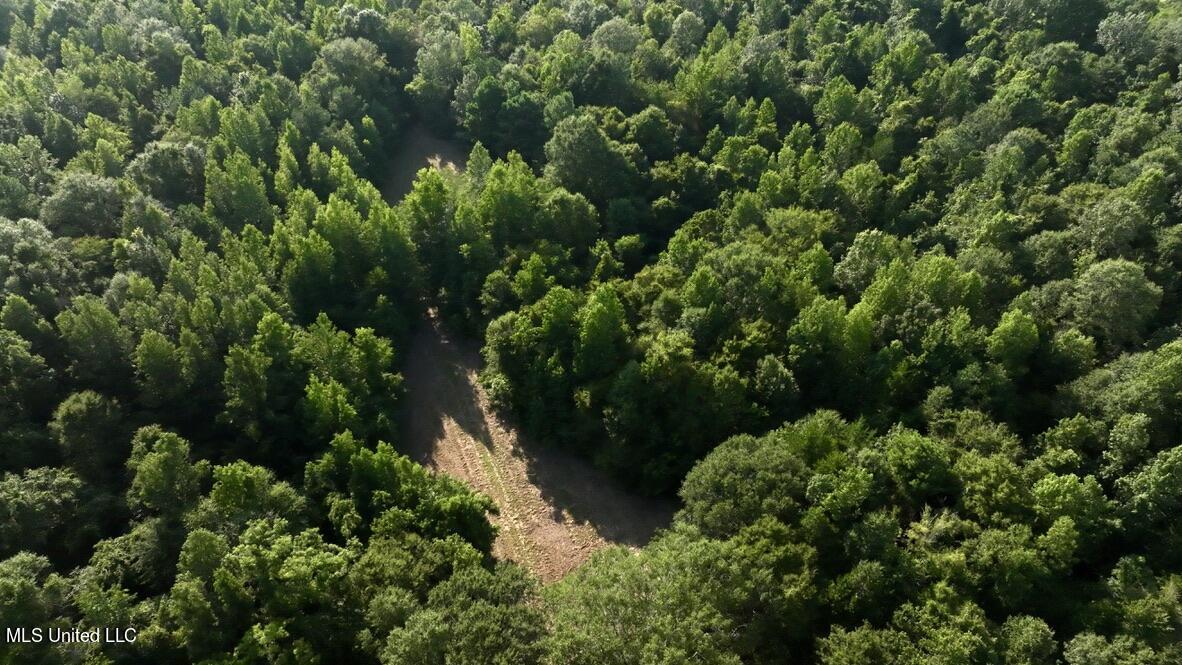 1 Moore Road Edwards, MS 39066 - Photo 23 of 43 2E1D1DD1-CE08-493B-AFED-B9EA43955179_1_1