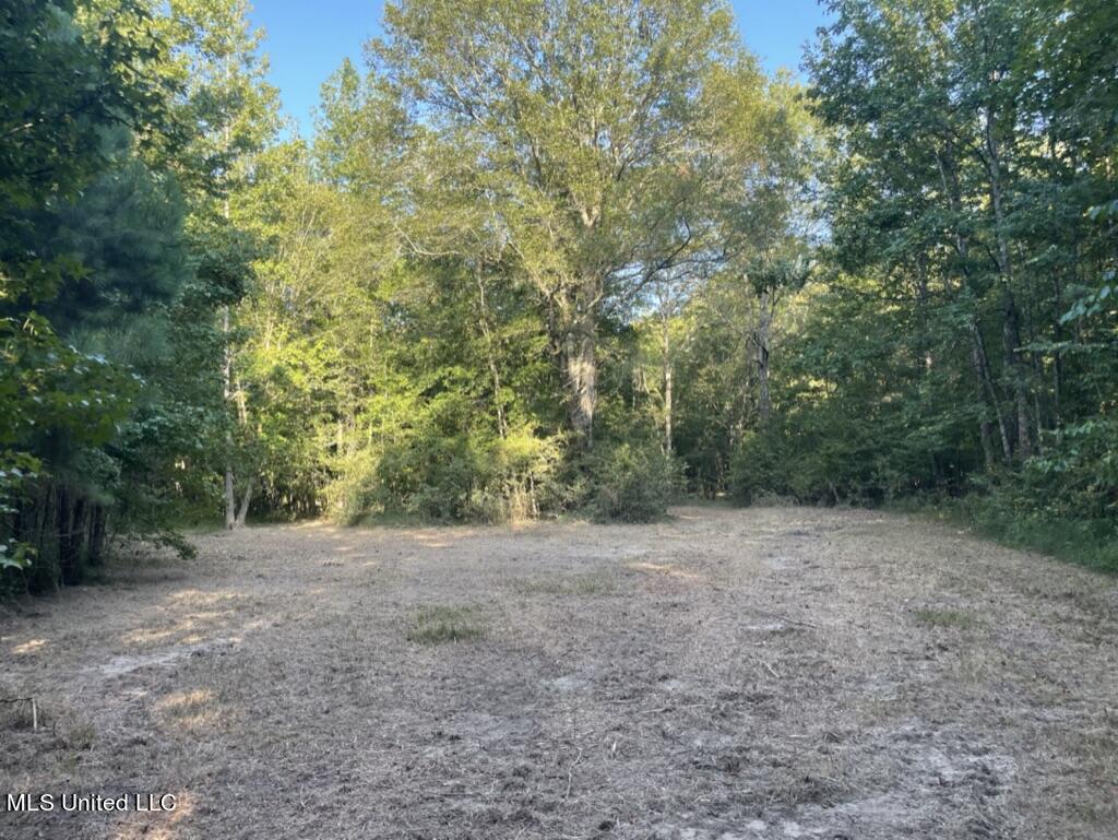 1 Moore Road Edwards, MS 39066 - Photo 30 of 43 13C49CA8-3B8F-443E-A700-FB08491EBDAA_1_1