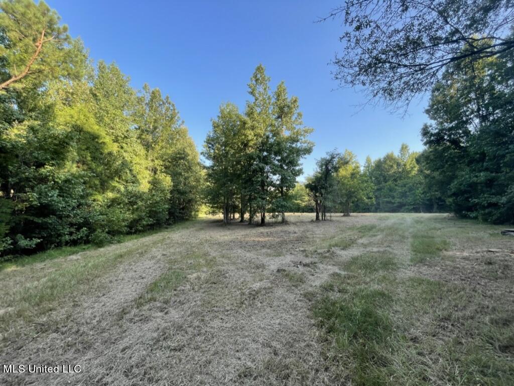 1 Moore Road Edwards, MS 39066 - Photo 33 of 43 102A630F-E7F5-41F3-AB71-D13E9E7F0B80_1_1