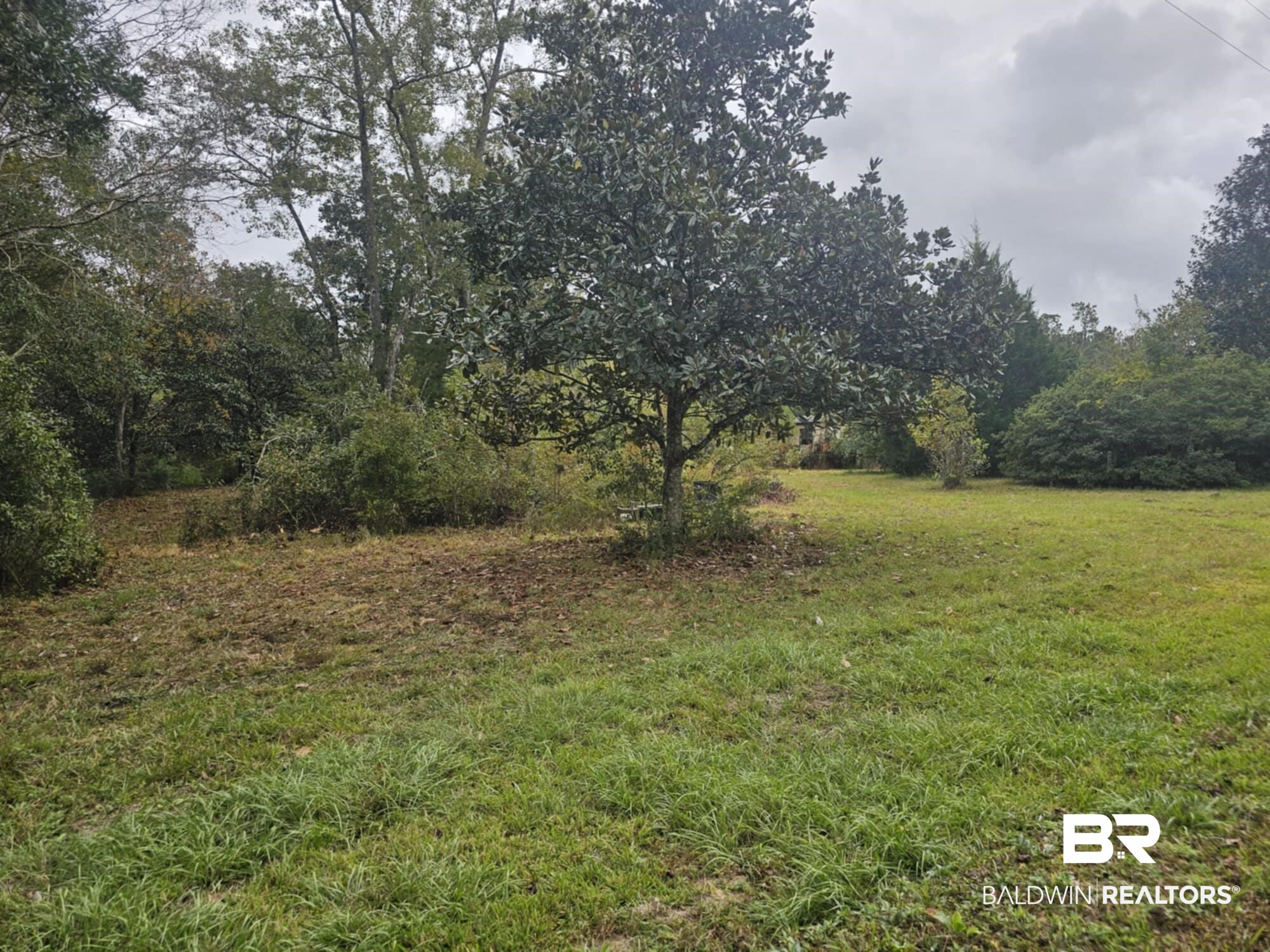 24579 Patterson Road Robertsdale, AL 36567 - Photo 2 of 4 View of landscape