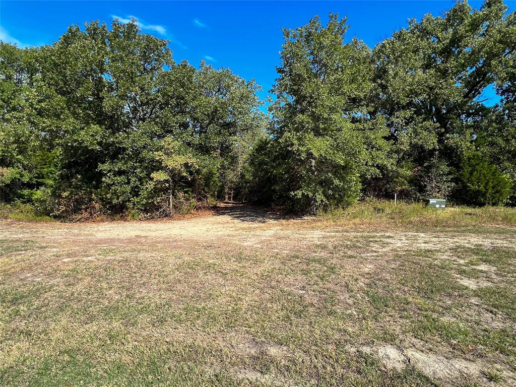445 Sun Valley Mabank, TX 75147 - Photo 7 of 34 View from road--area cleared for access to walk the property to the water. Just imagine your driveway here driveway throught the trees to your beautiful custom home on the lake.