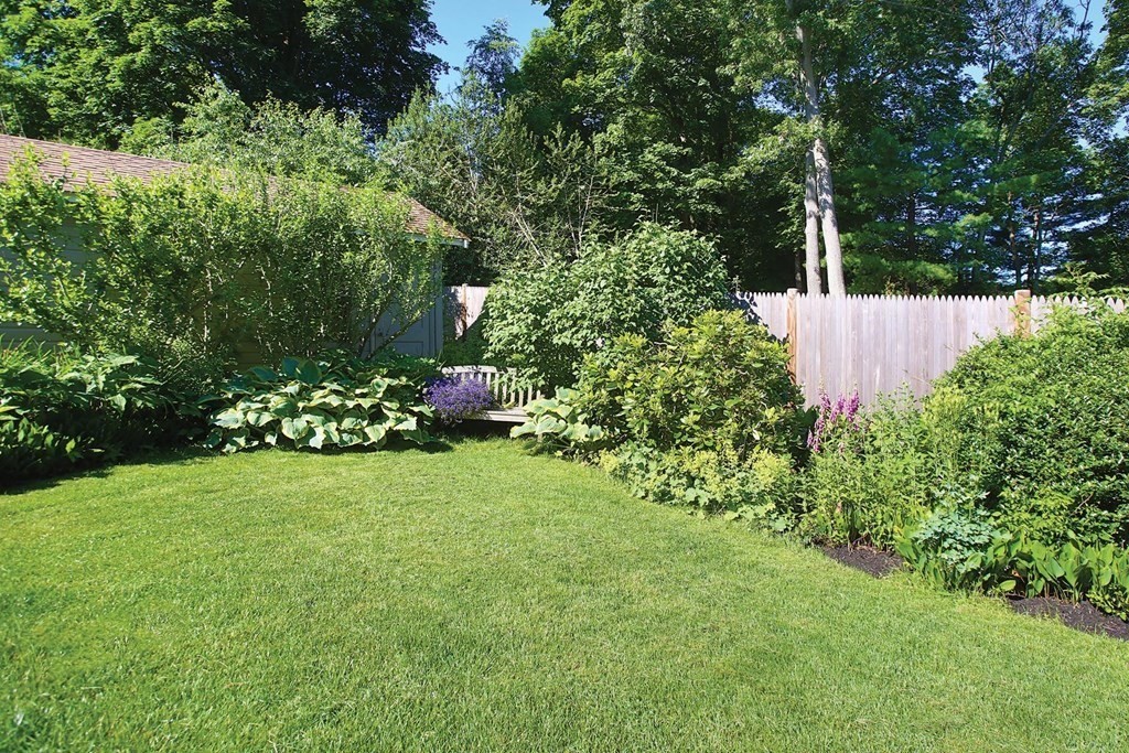 11 Ridgeway Terrace Newton, MA 02464 - Photo 8 of 10 a view of a garden with plants and large trees