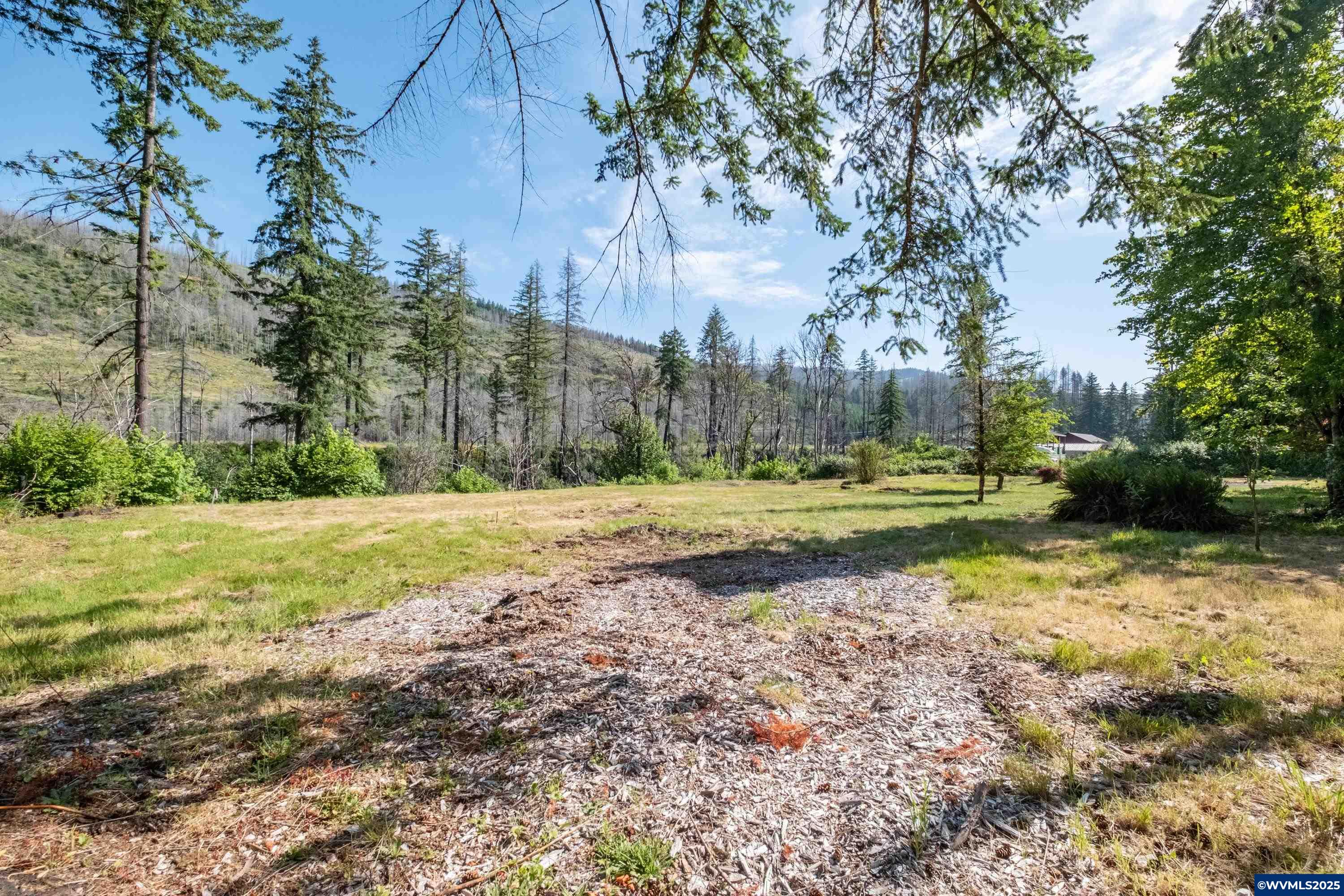 26147 Taylor Park Road Southeast Lyons, OR 97358 - Photo 2 of 25