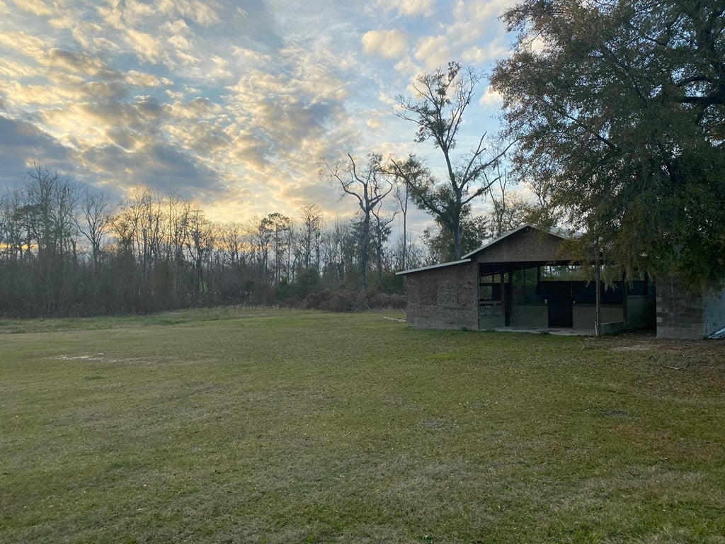 357 Shiloh Road Ray City, GA 31645 - Photo 15 of 42 Gallery Image 15