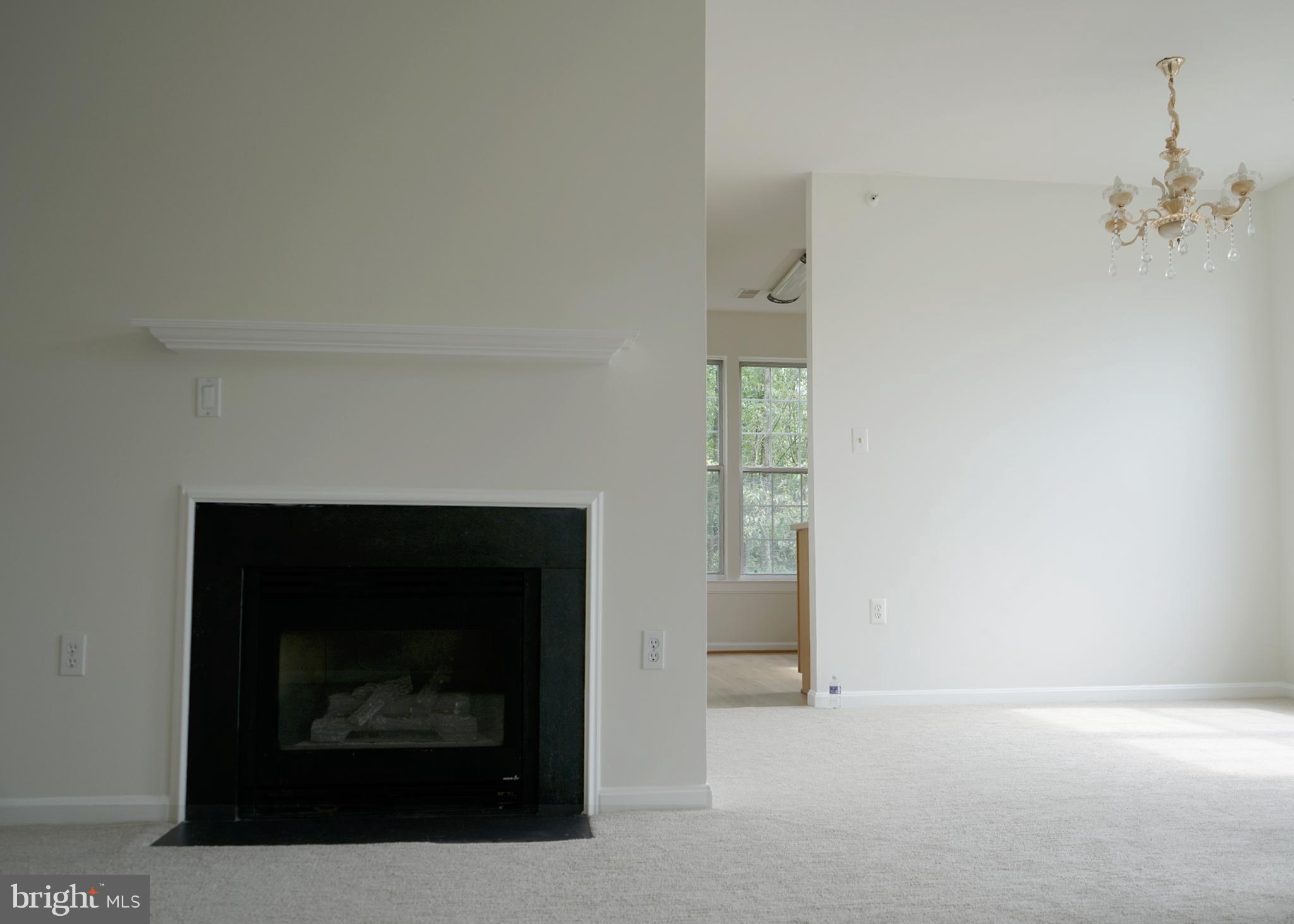 12004 Amber Ridge Circle, Unit B303 Germantown, MD 20876 - Photo 20 of 25 a living room with furniture and a fireplace