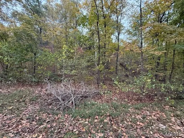 $516,000 | 655 Bluffton Road, Rhineland, MO 65069