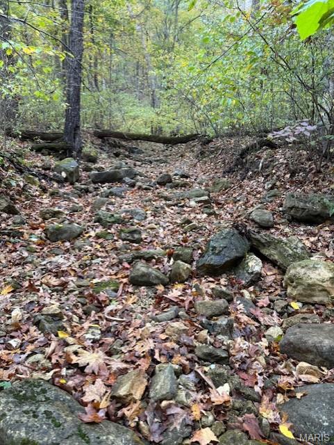 655 Bluffton Road Rhineland, MO 65069 - Photo 13 of 16