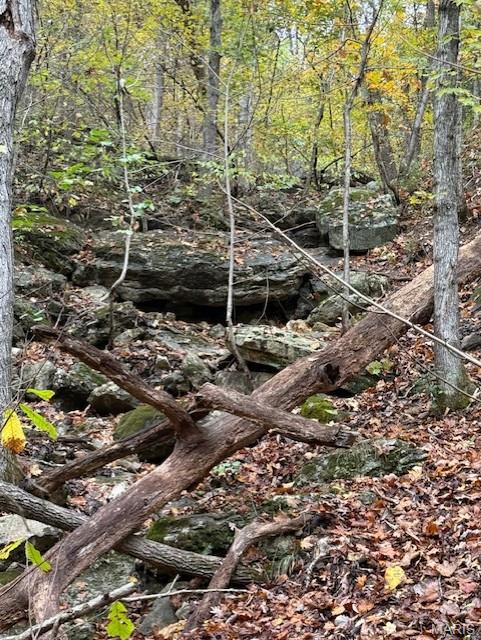 655 Bluffton Road Rhineland, MO 65069 - Photo 14 of 16