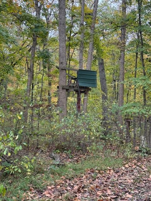 655 Bluffton Road Rhineland, MO 65069 - Photo 15 of 16