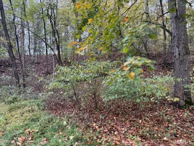 $516,000 | 655 Bluffton Road, Rhineland, MO 65069