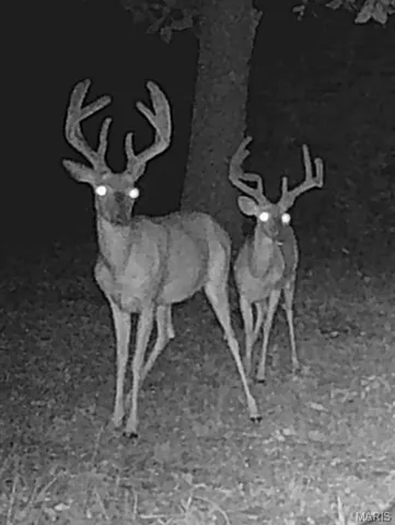 $516,000 | 655 Bluffton Road, Rhineland, MO 65069