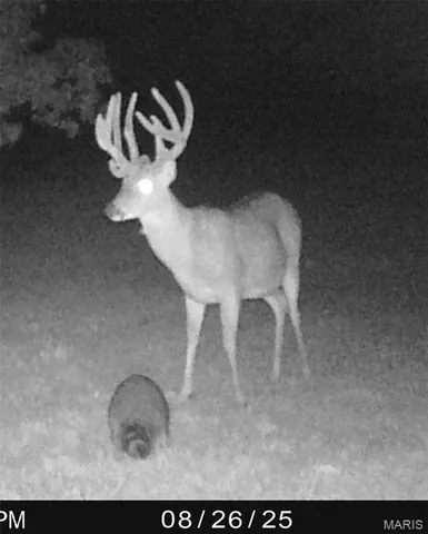 $516,000 | 655 Bluffton Road, Rhineland, MO 65069