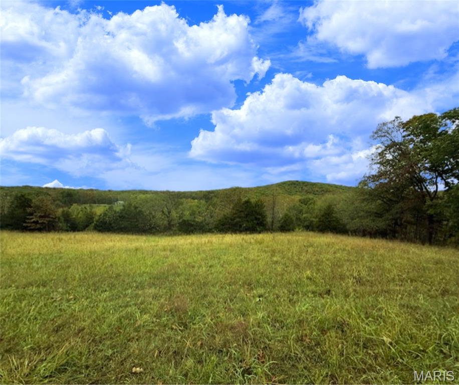 655 Bluffton Road Rhineland, MO 65069 - Photo 2 of 16