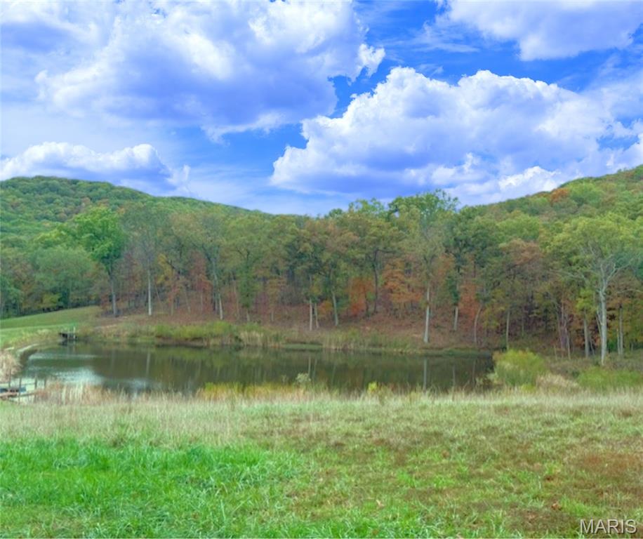 655 Bluffton Road Rhineland, MO 65069 - Photo 4 of 16