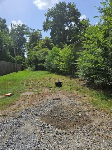 a view of a yard with plants and large trees
