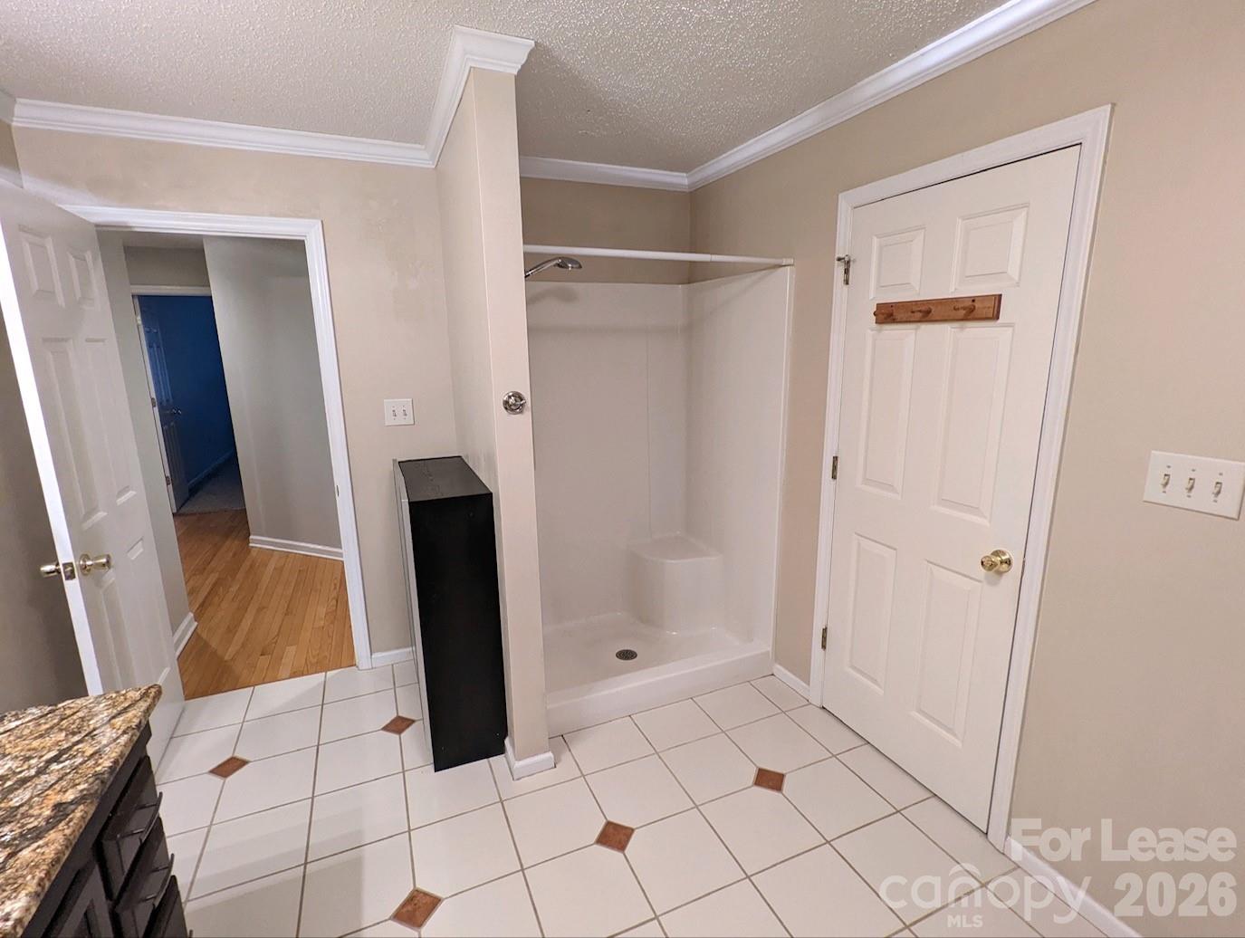 3984 Wind Rock Court Denver, NC 28037 - Photo 7 of 13