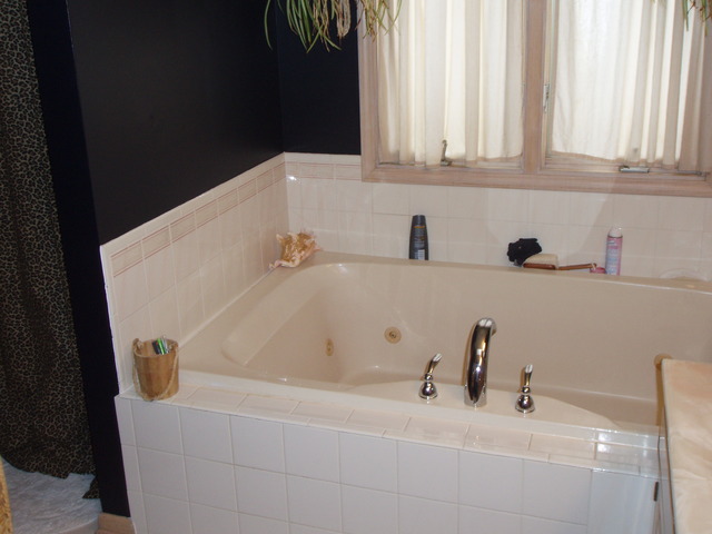 289 Butte View Drive Bolingbrook, IL 60490 - Photo 15 of 19 a bathroom with a bathtub