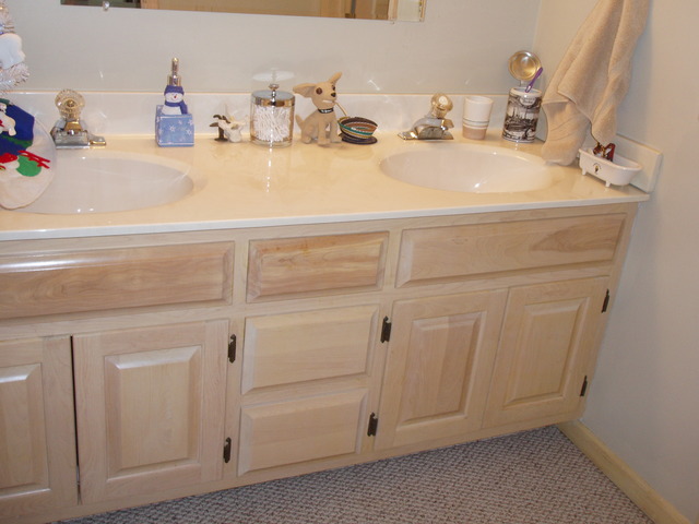 289 Butte View Drive Bolingbrook, IL 60490 - Photo 17 of 19 a bathroom with a sink and a mirror