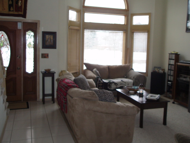 289 Butte View Drive Bolingbrook, IL 60490 - Photo 4 of 19 a living room with furniture and a window