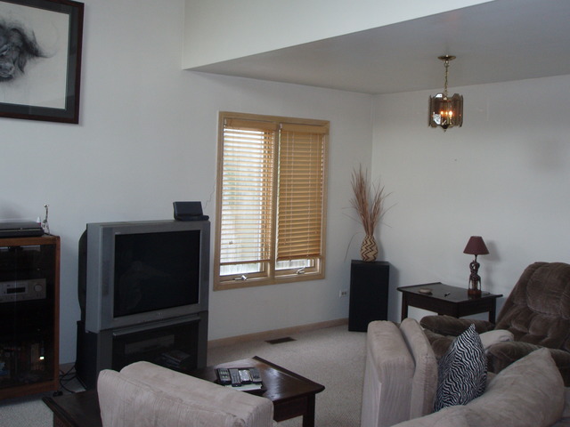 289 Butte View Drive Bolingbrook, IL 60490 - Photo 5 of 19 a living room with furniture a flat screen tv and a window