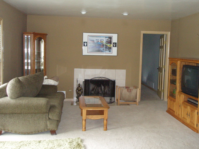 289 Butte View Drive Bolingbrook, IL 60490 - Photo 6 of 19 a living room with furniture and a fireplace