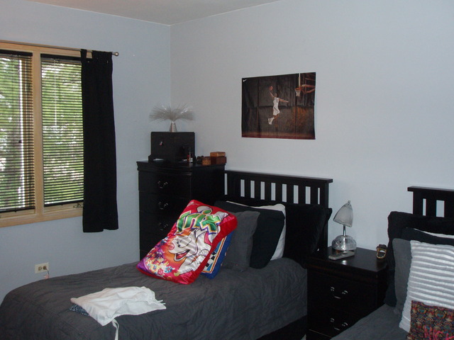 289 Butte View Drive Bolingbrook, IL 60490 - Photo 10 of 19 a living room with furniture lamp and a large window