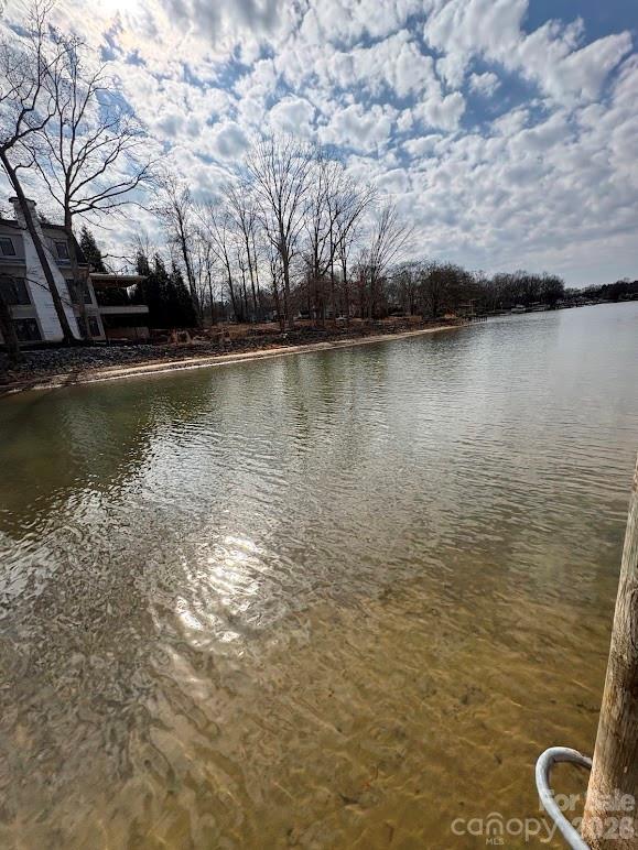 21600 Rio Oro Drive, Unit 45 Cornelius, NC 28031 - Photo 4 of 15