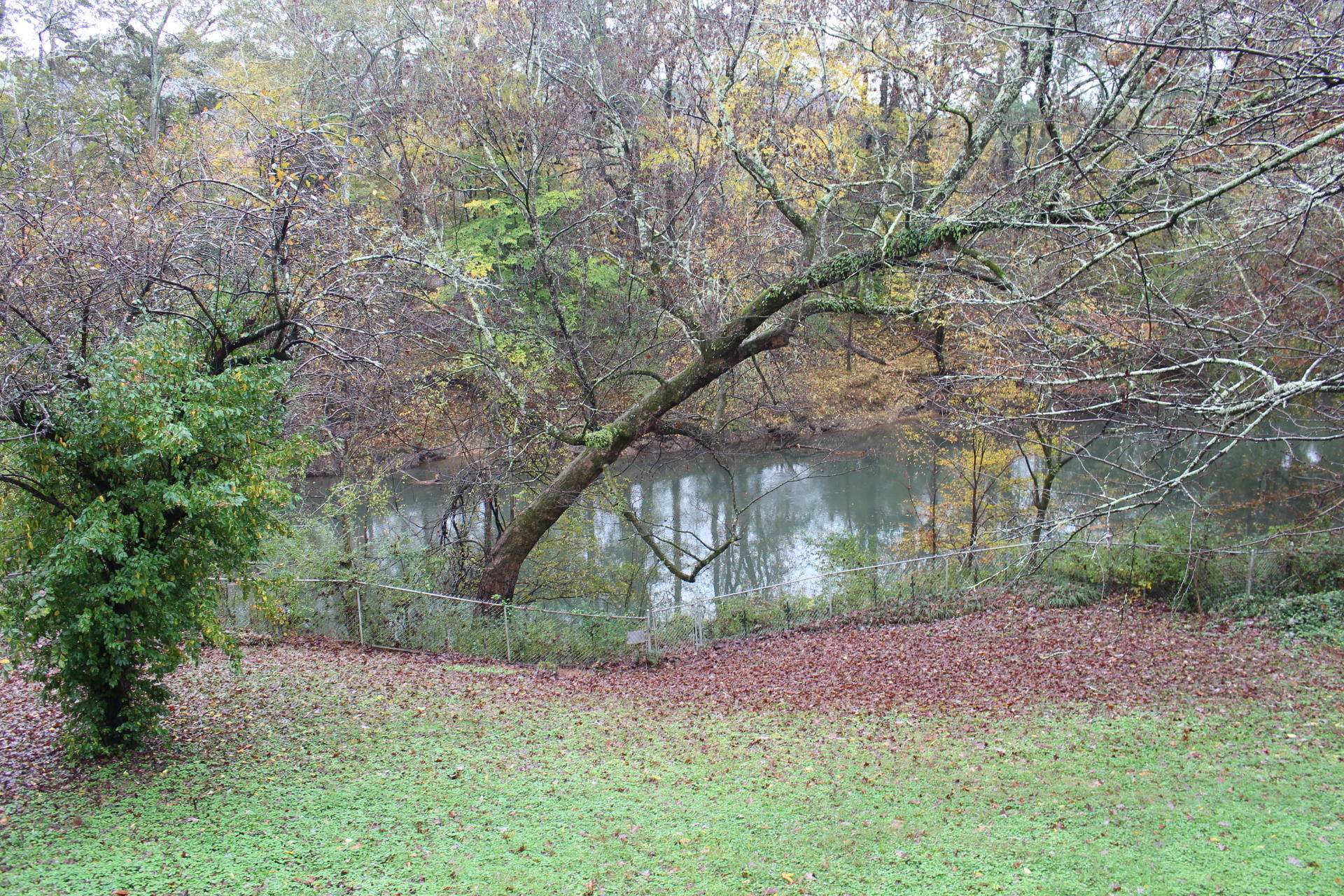 2710 Hamill Road Hixson, TN 37343 - Photo 8 of 9 IMG_0845