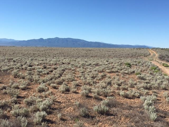 0 Montoya Road Carson, NM 87517 - Photo 1 of 9 Gallery Image 1